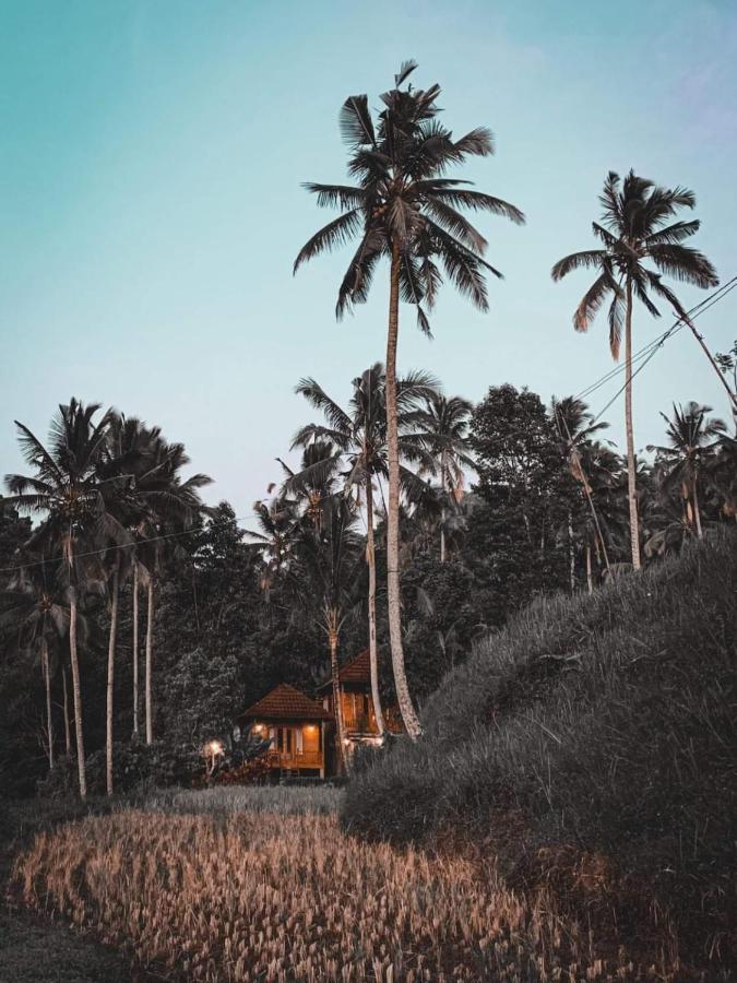 Uma D'Nyuh Homestay سينغاراجا المظهر الخارجي الصورة