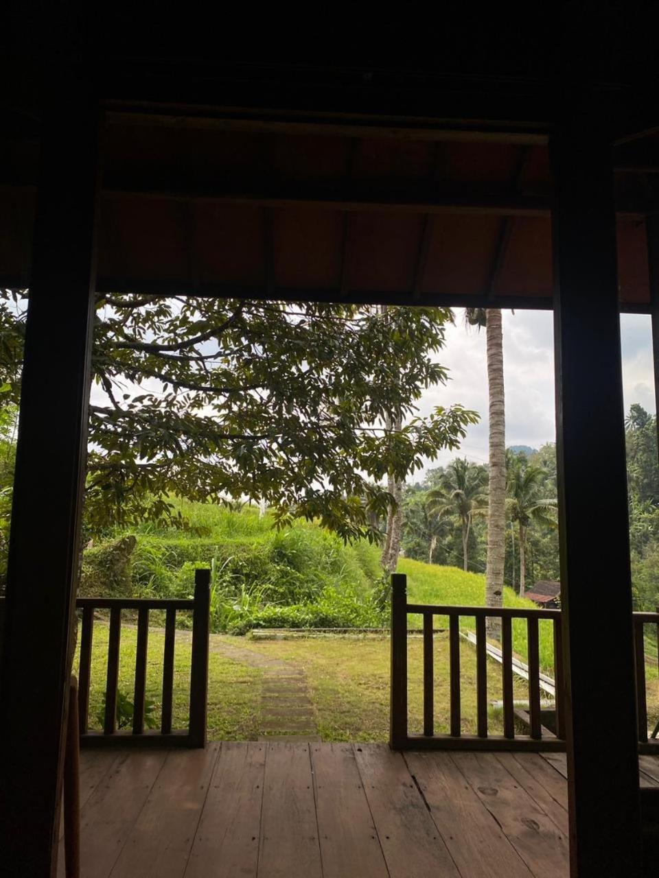 Uma D'Nyuh Homestay سينغاراجا المظهر الخارجي الصورة