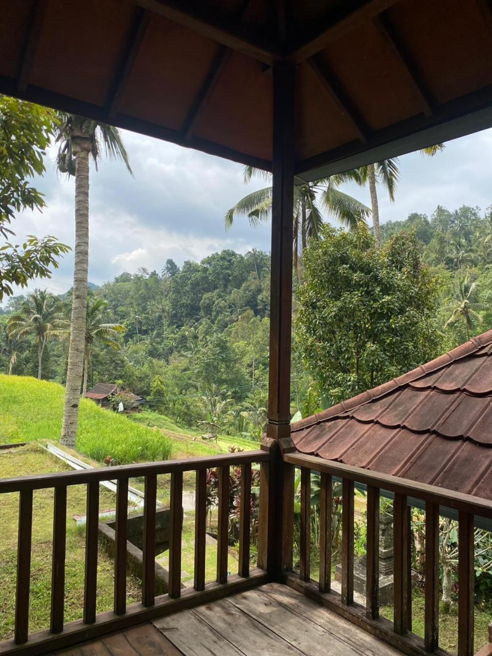 Uma D'Nyuh Homestay سينغاراجا المظهر الخارجي الصورة